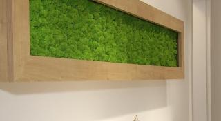 Moda plantelor stabilizate câştigă teren şi în România