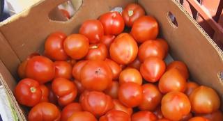 Ministerul Agriculturii promite subvenții majorate pentru legumele din extrasezon