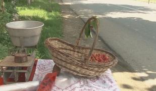 Cireșele de mai românești au apărut pe piață și sunt mai ieftine