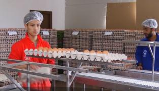 Muncitorii din Sri Lanka şi Nepal au umplut fermele de animale din toată ţara (Video)