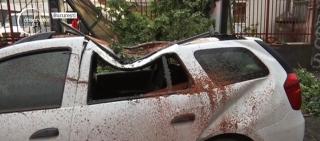 Imagini cu vijelia care a dus la rănirea a trei persoane în Bucureşti