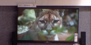 Programul Rabla pentru electrocasnice aduce reduceri semnificative