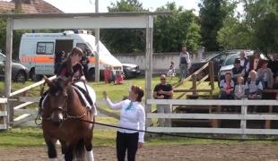 Hipismul, o altfel de terapie pentru copiii speciali, în Alba (Video)