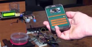 Patru studenţi români au creat o aplicaţie care va avea grijă de patrupedele lăsate de stăpâni singure acasă (Video)