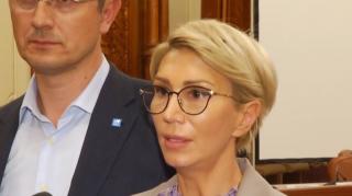 Bătălie între PSD și Opoziție, pentru șefia Camerei Deputaților