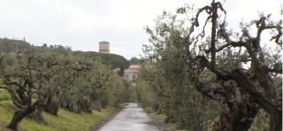 Ferma Papei Francisc din Italia, un adevărat colț de Rai