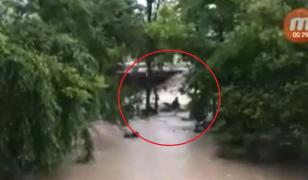 Momentul în care o mamă şi patru copii sunt luaţi de viitură în Prahova