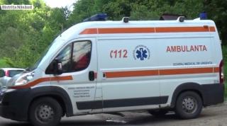 Un cioban a fost găsit mort în Bistriţa, iar un bărbat din Argeş a rămas fără un picior, din cauza urşilor (Video)