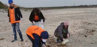 Plajele din Eforie, cele mai murdare de pe litoral