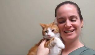 Americanii sărbătoresc Ziua Naţională a Îmbrăţişatului Pisicii