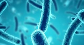 Trei pacienți uciși de mâncarea primită într-un spital din Marea Britanie (Video)