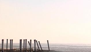 Alertă pe Dunăre. Restricții la trecerea cu bacul pe la Bechet (Video)