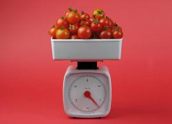 Roşiile cherry câştigă tot mai mult teren în faţa celorlalte soiuri (Video)