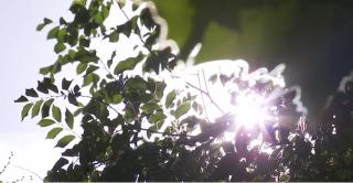 Meteorologii anunţă că un val de aer tropical traversează România în aceste zile