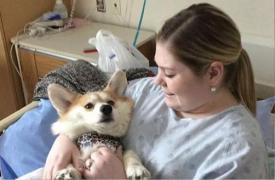 Un spital permite pacienţilor să primească vizite de la animalele de companie