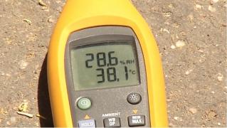 Canicula a făcut primele victime în acest an. Iar meteorologii au veşti proaste