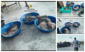 Imagine dezolantă pe litoral. 218 kilograme de calcan, confiscate de la braconieri (Video)