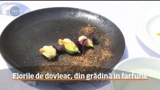 Observator 13 Weekend