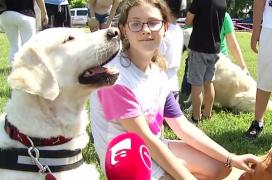 Expoziţia celor mai frumoşi câini din lume, la Bucureşti (Video)