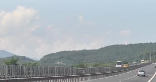 Animalele, un pericol pentru șoferi pe Autostrada Sebeș-Turda. Gardurile de protecție sunt peticite