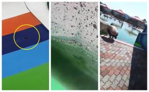 Viermi, lipitori şi o apă verde la un ştrand din Reşiţa (Video)