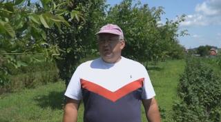 Un fermier din Suceava îşi dă recolta gratis, dezamăgit de oferta primită de la distribuitori