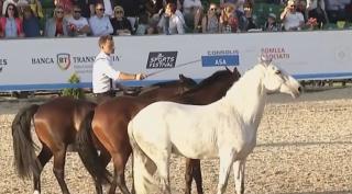 Acrobații spectaculoase cu cai la competiția ecvestră de la Turda