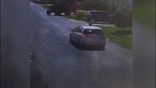 Momentul în care o femeie care trece strada este spulberată de un şofer, în Timiş (Video)