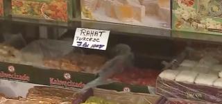 Nereguli pe litoral. Inspectorii OPC au închis activitatea mai multor unităţi controlate