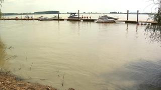 O vidră şi-a făcut apariţia într-un golf format pe Dunăre, la Galaţi (Video)