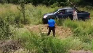 Jandarmii montani din Braşov au ajutat la salvarea unui pui de urs căzut într-un canal colector