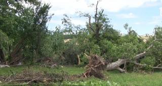 Trei minute de groază într-un sat din Moldova. O vijelie a venit, a făcut prăpăd şi s-a stins, oamenii nu ştiu ce i-a lovit