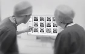 Un cuplu din New York a dat în judecată o clinică de fertilizare, după ce mama a născut doi gemeni care aparţineau altor două cupluri