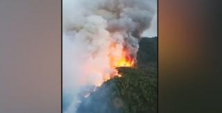 Incendii de vegetații provocate de caniculă în Turcia și sudul Italiei