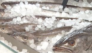 Peștele, un aliment de bază pentru copii. Orice părinte ştie că este sursă primară de acizi graşi Omega 3