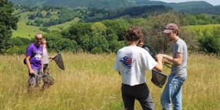 Natura, animalele şi oamenii din Transilvania atrag sute de studenţi din toată lumea