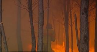 Caniculă sahariană în toată Europa. Vacanţele românilor, în pericol