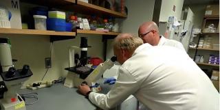 Datoria istorică a Cubei, recuperată cu importuri de tratamente anticancer