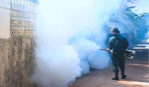 Ilfovenii s-au îmbolnăvit, după ce autorităţile au împrăştiat substanţe toxice anti-ţânţari