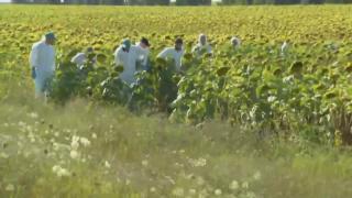 Telefonul Luizei Melencu nu a fost găsit de anchetatori, pe câmpul de lângă Caracal