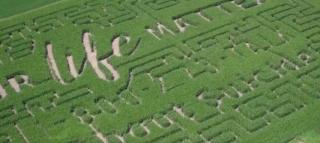 Un fermier din Wisconsin a creat un labirint în lanul de porumb pentru persoanele cu gânduri suicidale