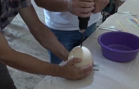 Ou de struț spart cu bormașina, la Festivalul Clătitelor din Harghita