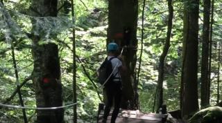 Canionul Șapte Scări are cel mai lung traseu de tiroliană din ţară