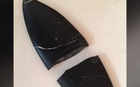 Operă "Le Poisson" a lui Brâncuși, spartă după ce a fost scăpată pe podea