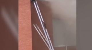 Doi ratoni, salvaţi dintr-un incendiu de pompierii din Indiana