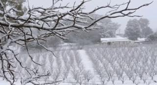 Fenomen meteorologic rar. În Australia a nins ca-n povești