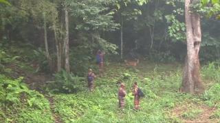 Adolescentă din Irlanda, dispărută de 8 zile în jungla din Malaezia