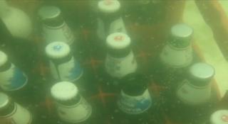 Prima berărie subacvatică din România, deschisă la Dalnic, în Covasna