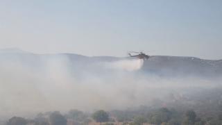 Incendii de vegetație din cauza caniculei, în Grecia și Spania