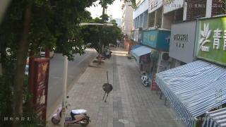 Un struț evadat din adăpost a gonit pe străzile unui oraș din China